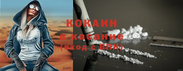 меф Ельня