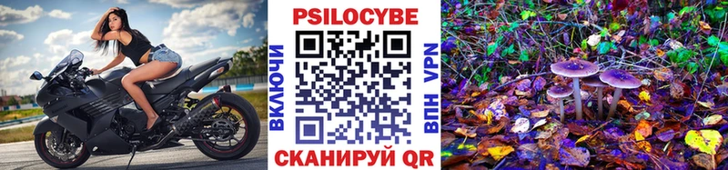 Галлюциногенные грибы ЛСД  Судогда 